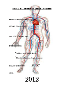 Tipos de sistemas circulatorios