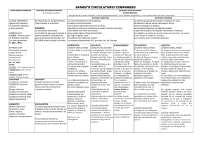 Aparato circulatorio comparado. Invertebrados Archivo