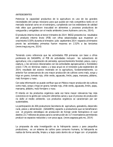 ANTEDEDENTES Potenciar la capacidad productiva de la