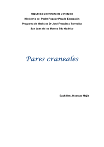 anatomia pares craneales jhossuar (496076)