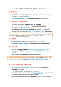 1. Ruta de NOVO - Tu universidad virtual