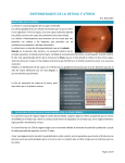 anatomía de la retina - medicina