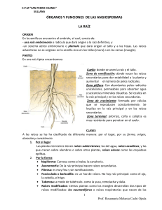 órganos y funciones de las angiospermas