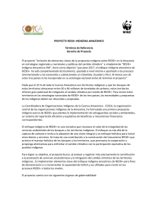 PROYECTO REDD+ INDIGENA AMAZONICO Términos de