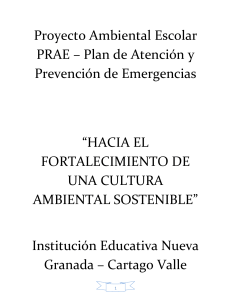 Consolidado PRAE y Plan de emergencias 2014