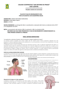 Ciencia Naturales_sistema respiratorio