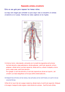 Repasando sistema circulatorio Esta es una guía para repasar los