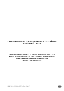 Informe intermedio - niveles básicos de protección social