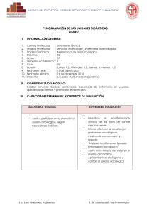 Silabo - SAN AGUSTIN