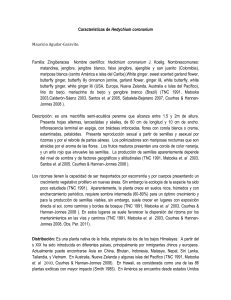 Caracter&iacute;sticas de Hedychium coronarium - EREespecies