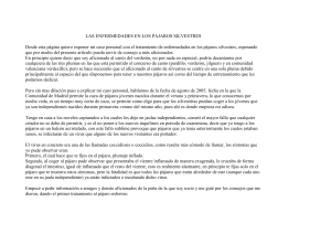 las enfermedades en los pajaros silvestres