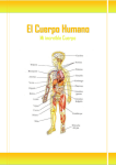El Cuerpo Humano