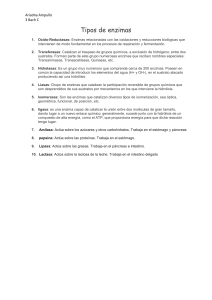 Ariadna Ampuño 3 Bach C Tipos de enzimas Oxido