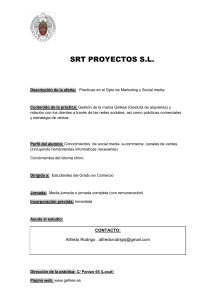 SRT PROYECTOS S.L. Descripción de la oferta: Practicas en el