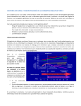 historia natural y fisiopatología de la diabetes - medicina