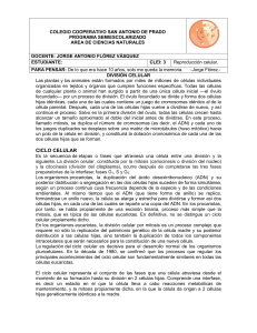 COLEGIO COOPERATIVO SAN ANTONIO DE PRADO PROGRAMA