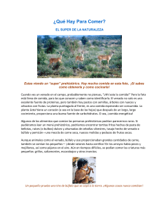 El S&uacute;per y Hornos