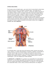SISTEMA CIRCULATORIO. En el cuerpo existe un liquido espeso