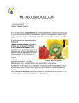 MetabolismoCelular