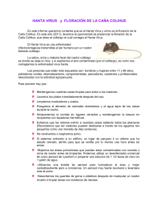 HANTA VIRUS y FLORACIÓN DE LA CAÑA COLIHUE