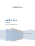Algebra lineal - WordPress.com