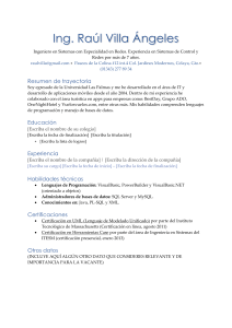 descarga formato de cv de ingeniero en sistemas