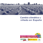 Cambio climático y viñedo en España