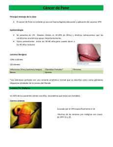 Cáncer de Pene - medicina