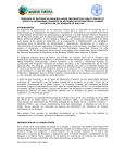 TÉRMINOS DE REFERENCIA_INFORMATICO_APMT1_rev
