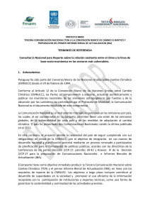 Tèrminos de Referencia