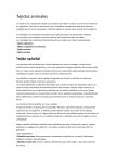 Tejidos conectivos - biologialasalle4-4