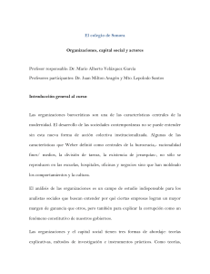 Organizaciones, capital social y actores