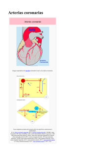 Arterias coronarias - Página Jimdo de carloshumrey