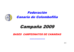 19/11/2008 Bases Campeonato de Canaria 2009