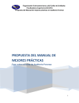 propuesta de manual de mejores prácticas en auditoria