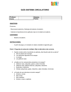guía sistema circulatorio