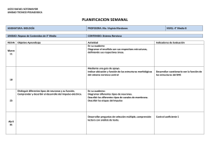 planificacion semanal - Liceo Rafael Sotomayor