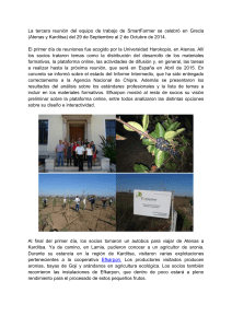 Descargar archivo adjunto