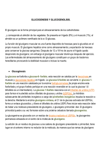glucogenesis y glucogenolisis. - bio-q