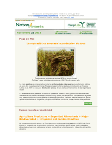 Para asegurar la entrega de nuestros e