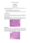 P36 Tumores Renales - medicina
