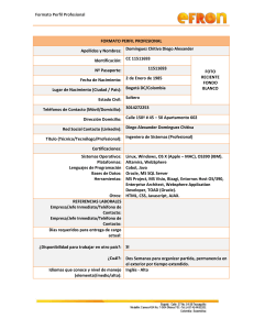 Perfil Profesional D..