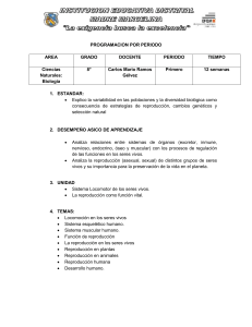 PROGRAMACION 1 Octavo (195991) - iedmm