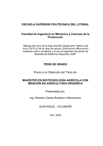 TESIS actual Carlos Burbano