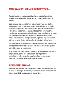 CIRCULACIÓN EN LOS SERES VIVOS