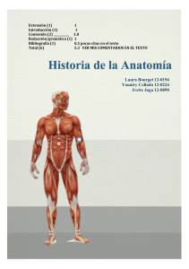Historia de la Anatom&iacute;a