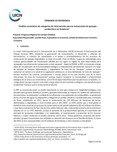 T&Eacute;RMINOS DE REFERENCIA &ldquo;An&aacute;lisis econ&oacute;mico de categor&iacute;as de