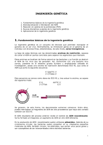 Ingeniera_Gentica