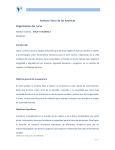Etica Y Valores 2 - IVAM – Instituto Vasco de las Americas