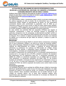 Congreso Nacional del XIV Verano de la Investigación Científica del